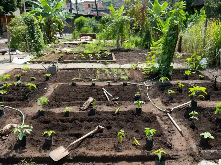 Construção de jardim comunitário em área urbana